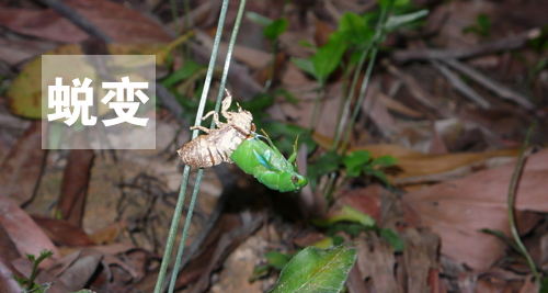 用心感受世界，因活著而幸福(圖4)